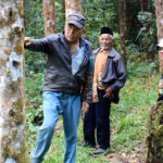 kemenyan3-Pendeta-Haposan-Sinambela-masyarakat-adat-Pandumaan-menunjukkan-pohon-kemenyan-miliknya-Ayat-S-Karokaro